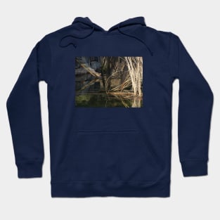 Reflections Hoodie